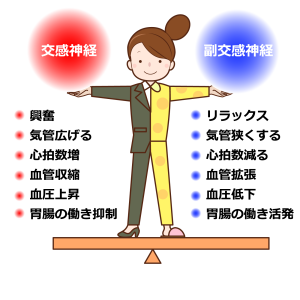 自律神経の働きをあらわした画像