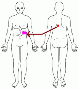 胸椎6番と胃の反射の図