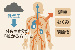低気圧で外圧が下がり、体内の体液が拡がる様子を抽象的に表現したイラスト