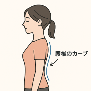 腰椎カーブを示したイラスト